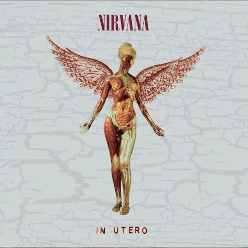 ニルヴァーナ / In Utero(30th Anniversary)【輸入盤】【2CD Deluxe