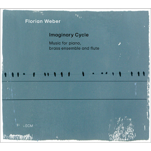 フロリアン・ウェーバー / Imaginary Cycle【直輸入盤】【CD】