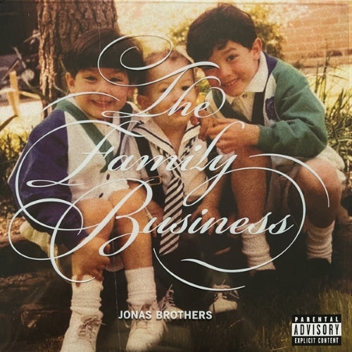 ジョナス・ブラザーズ / The Family Business【輸入盤】【2LP】【アナログ】
