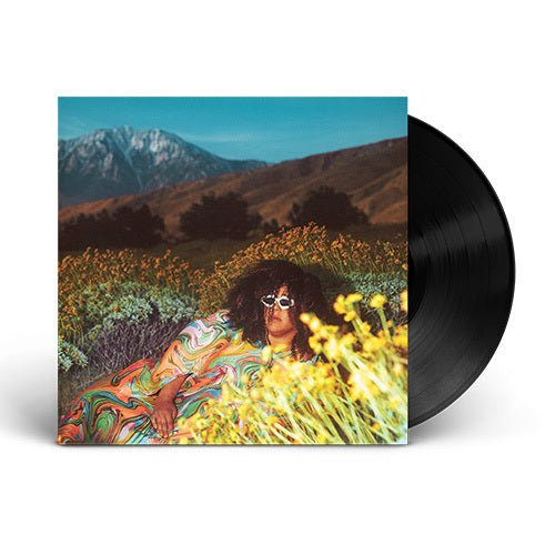 ブリタニー・ハワード / What Now【輸入盤】【1LP】【アナログ】