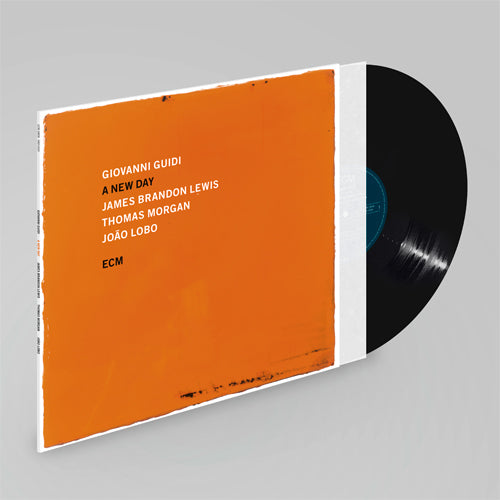 ジョヴァンニ・グイディ / ア・ニュー・デイ【直輸入盤】【限定盤】【LP】【アナログ】
