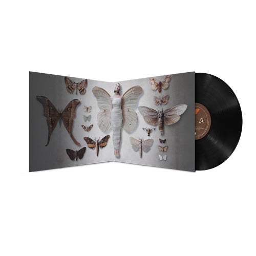 オーロラ / All My Demons Greeting Me As A Friend (The Moth Tapes) LP【輸入盤】【1LP】【アナログ】