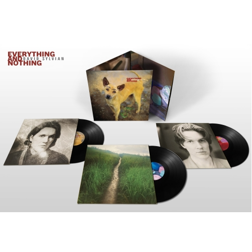 デヴィッド・シルヴィアン – UNIVERSAL MUSIC STORE デヴィッド・シルヴィアン – UNIVERSAL MUSIC STORE