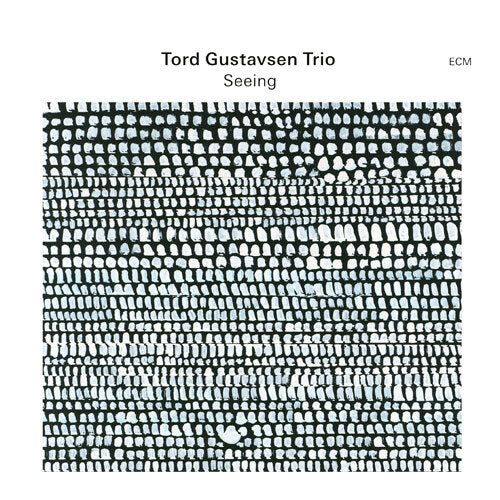 トルド・グスタフセン・トリオ / シーイング【直輸入盤】【CD】