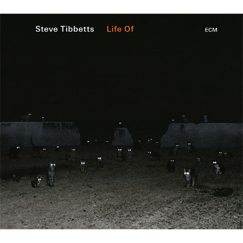 Steve Tibbetts / Life Of【直輸入盤】【CD】