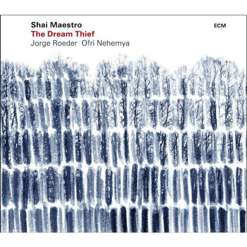 シャイ・マエストロ / ザ・ドリーム・シーフ【直輸入盤】【CD】