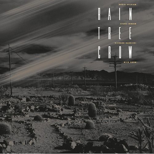 デヴィッド・シルヴィアン / Gone To Earth【輸入盤】【2LP
