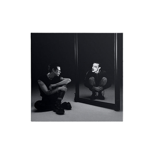 ヤングブラッド / IDOLS COLLECTIBLE COLLAGE CD 5 OF 6【輸入盤】【UNIVERSAL MUSIC STORE限定盤】【1CD】【CD】