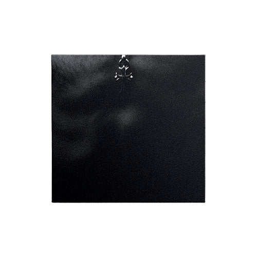 ヤングブラッド / IDOLS COLLECTIBLE COLLAGE CD 3 OF 6【輸入盤】【UNIVERSAL MUSIC STORE限定盤】【1CD】【CD】