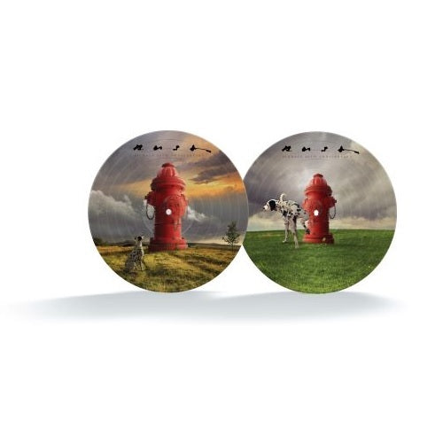 ラッシュ / Signals (40th Anniversary)【輸入盤】【限定盤】【1LP】【アナログ】