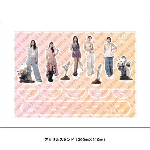 KARA / I Do I Do【メンバー別初回限定盤5形態セット】【CD MAXI】【+GOODS】