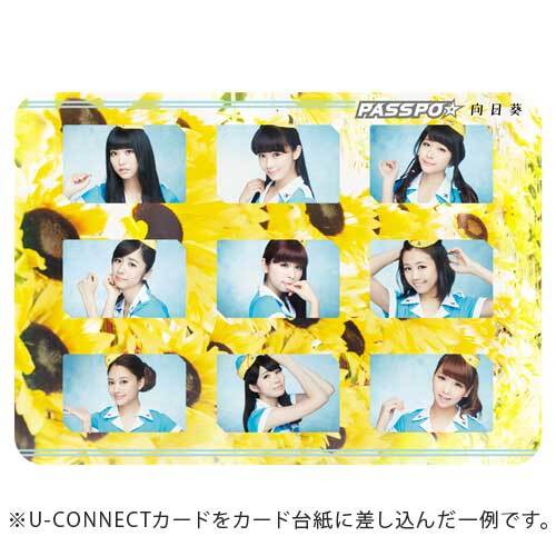 PASSPO☆ / 向日葵【全クルー絵柄U-CONNECTカード9枚】【ストア限定】【東京第2部】【MUSIC CARD】【+面会チケット】【+カード台紙】