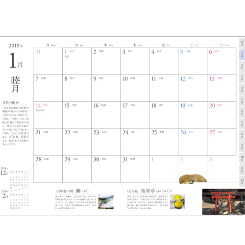 豆助 / 豆助手帳 2019【縦188mm　横131mm　高さ12mm】