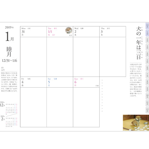 豆助 / 豆助手帳 2019【縦188mm　横131mm　高さ12mm】