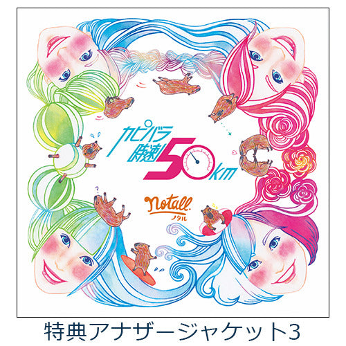 notall / カピバラ時速50km / 君にDA-DA-DAN【TYPE-B】【特典アナザージャケット付き】【CD MAXI】