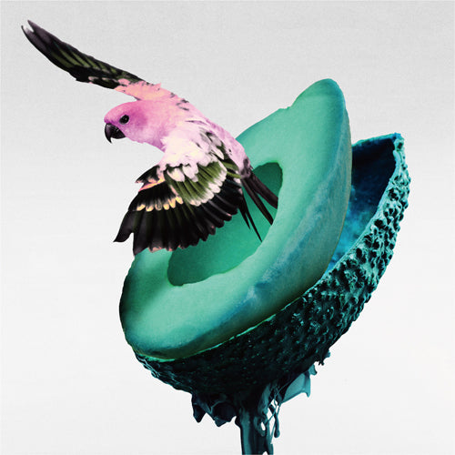 神はサイコロを振らない / 心海【初回限定盤B】【チケット最速先行予約対象】【CD】【+Blu-ray】