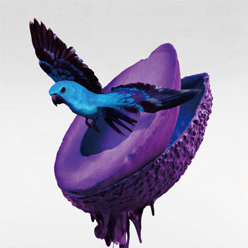 神はサイコロを振らない / 心海【初回限定盤A】【CD】【+Blu-ray】