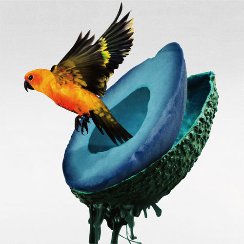 神はサイコロを振らない / 心海【通常盤】【CD】