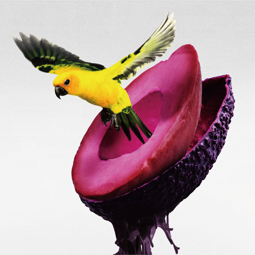 神はサイコロを振らない / 心海【完全数量限定Goods盤】【CD】【+Goods】