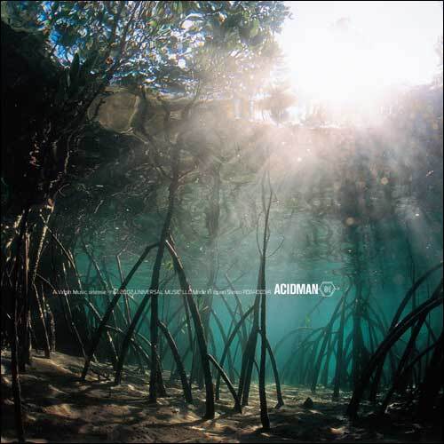 ACIDMAN / 創【完全生産限定盤】【アナログ】