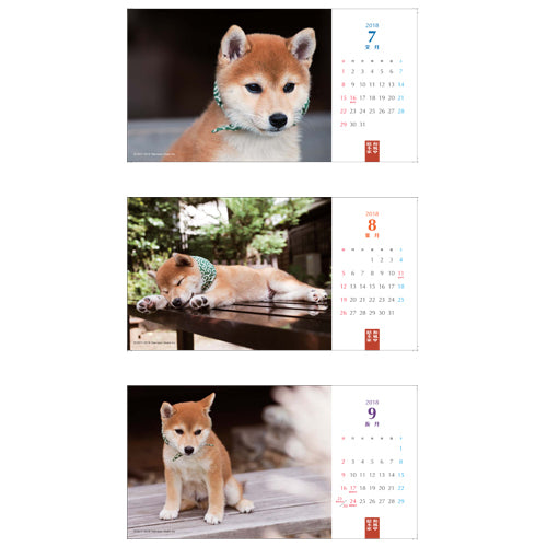 豆助 / 和風総本家 二十代目豆助 卓上カレンダー2018