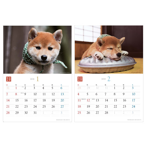 豆助 / 和風総本家・二十代目豆助 壁掛カレンダー2018