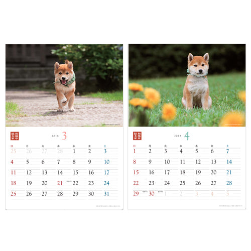 豆助 / 和風総本家・二十代目豆助 壁掛カレンダー2018