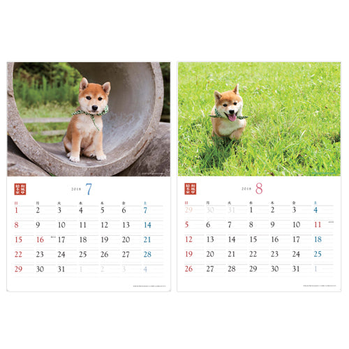 豆助 / 和風総本家・二十代目豆助 壁掛カレンダー2018