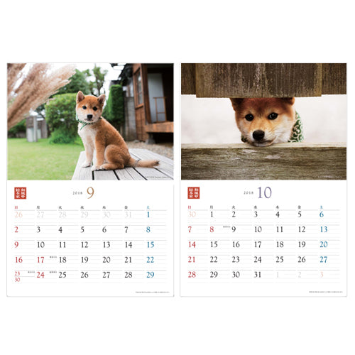 豆助 / 和風総本家・二十代目豆助 壁掛カレンダー2018