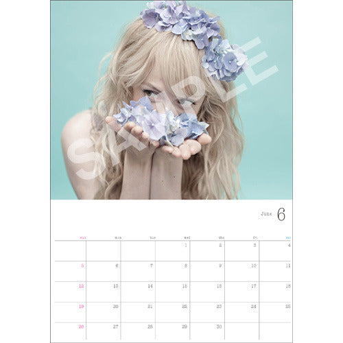 シャーロット・ケイト・フォックス / シャーロット・ケイト・フォックス 2016カレンダー【カレンダー】【表紙＋12ページ】