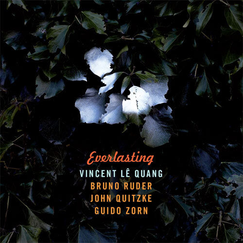 Vincent Le Quang / Everlasting【直輸入盤】【CD】