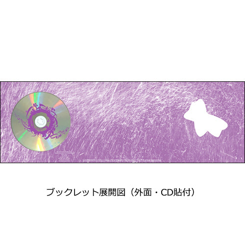 小沢健二 / 流動体について【完全生産限定盤】【7インチサイズ紙ジャケット仕様】【CD MAXI】