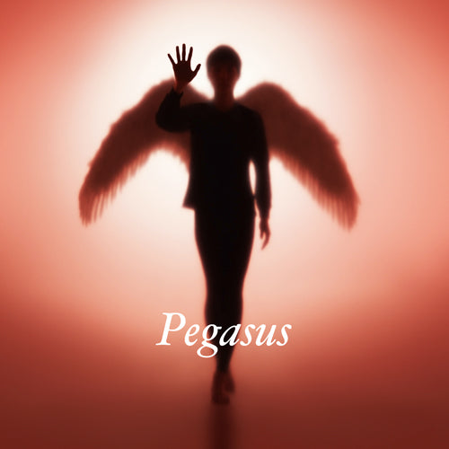 布袋寅泰 / Pegasus【初回生産限定盤】【CD MAXI】