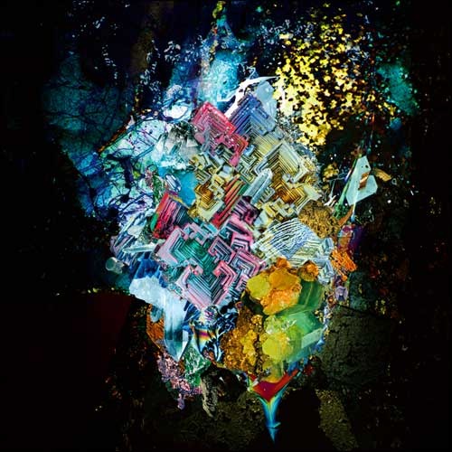RADWIMPS / ×と○と罪と【通常盤】【CD】
