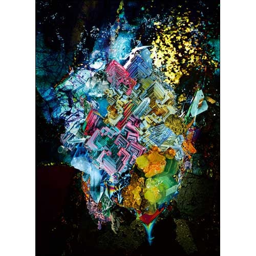 RADWIMPS / ×と○と罪と【初回限定盤】【CD】