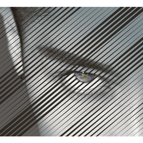 MIYAVI / SAMURAI SESSIONS vol.2【初回限定盤】【CD】【+DVD】