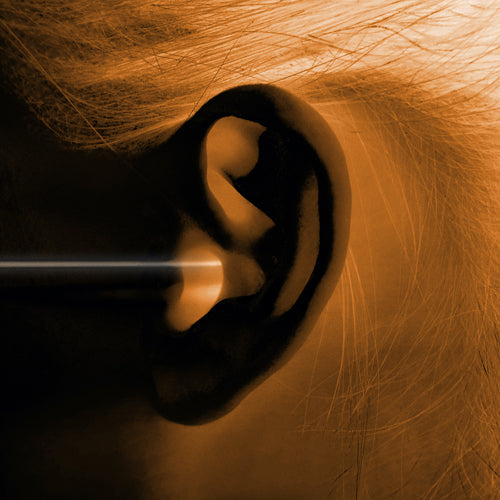 神はサイコロを振らない / 事象の地平線【初回限定盤】【CD】【+DVD】