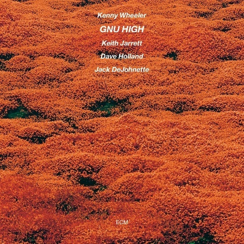 ケニー・ホイーラー / ヌー・ハイ【CD】【SHM-CD】