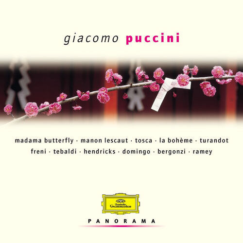 ヴァリアス・アーティスト / パノラマ プッチーニー作品集【CD】