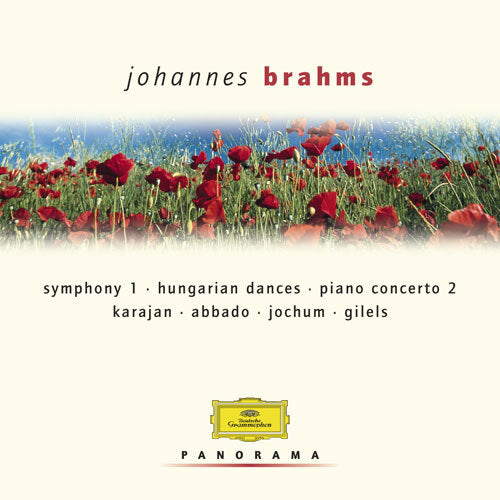 ヴァリアス・アーティスト / パノラマ ブラームス作品集（2）【CD】