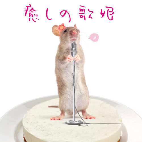 V.A. / 癒しの歌姫【CD】