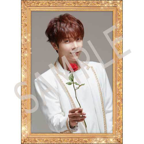 SUPERNOVA / ★博9  ホストカードセット（5枚セット）