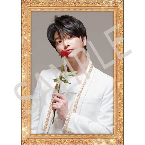 SUPERNOVA / ★博9  ホストカードセット（5枚セット）