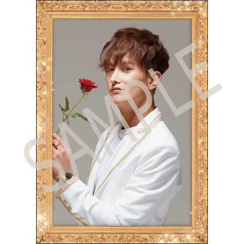 SUPERNOVA / ★博9  ホストカードセット（5枚セット）