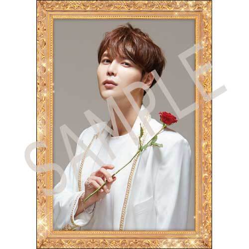 SUPERNOVA / ★博9  ホストカードセット（5枚セット）