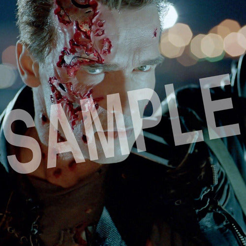 ブラッド・フィーデル / ターミネーター2【CD】【SHM-CD】