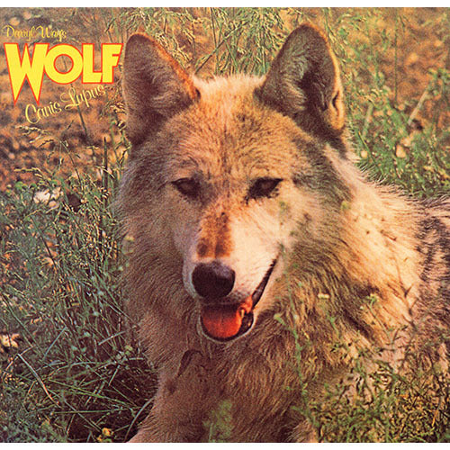 ダリル・ウェイズ・ウルフ / カニス・ループス+2【CD】【SHM-CD】
