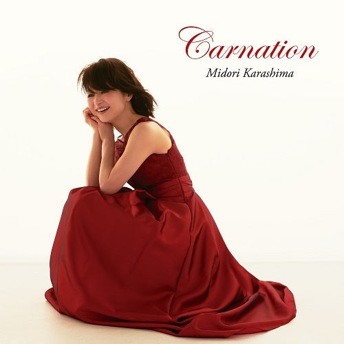 辛島美登里 / カーネーション【CD】