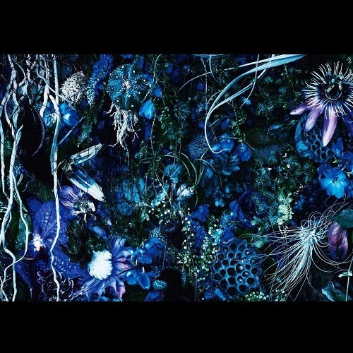 SUGIZO / ONENESS M【初回限定盤】【CD】【SHM-CD】