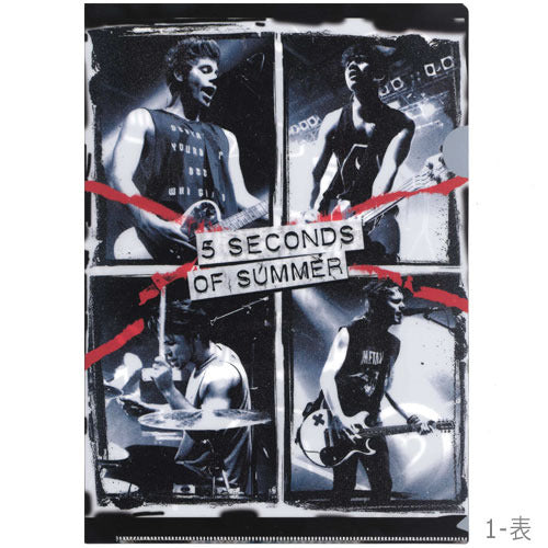 ファイヴ・セカンズ・オブ・サマー / 5 Seconds Of Summer A4 File Folders Pack【A4サイズ】